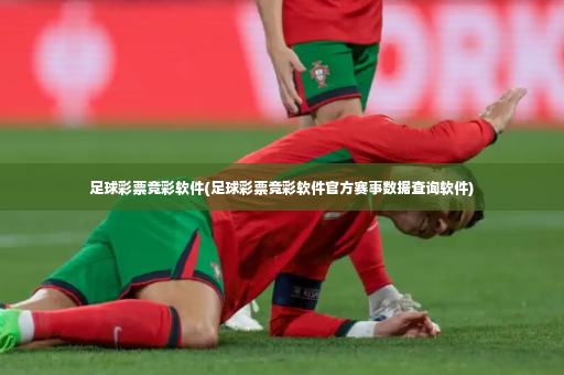 足球彩票竞彩软件(足球彩票竞彩软件官方赛事数据查询软件)-第1张图片-体育博彩