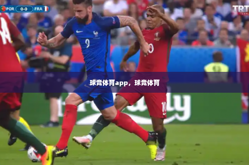 球竞体育app，球竞体育-第4张图片-体育博彩