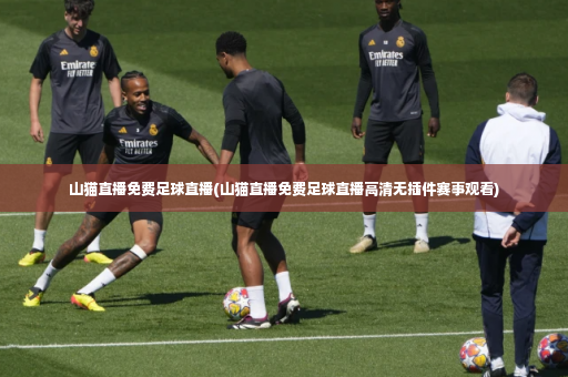 山猫直播免费足球直播(山猫直播免费足球直播高清无插件赛事观看)-第1张图片-体育博彩