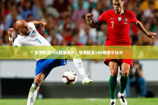 世界杯买100能挣多少,世界杯买100赔多少比分-第4张图片-体育博彩 世界杯买100能挣多少,世界杯买100赔多少比分-第4张图片-体育博彩