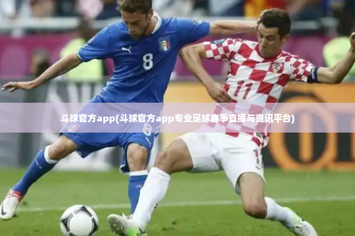 斗球官方app(斗球官方app专业足球赛事直播与资讯平台)-第4张图片-体育博彩