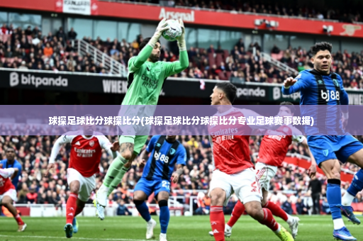 球探足球比分球探比分(球探足球比分球探比分专业足球赛事数据)-第4张图片-体育博彩 球探足球比分球探比分(球探足球比分球探比分专业足球赛事数据)-第4张图片-体育博彩