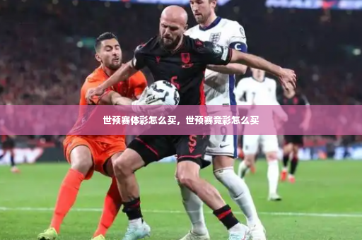 世预赛体彩怎么买，世预赛竞彩怎么买-第2张图片-体育博彩