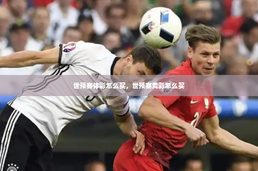 世预赛体彩怎么买，世预赛竞彩怎么买-第4张图片-体育博彩