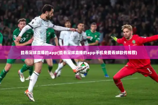能看足球直播的app(能看足球直播的app手机免费看球软件推荐)-第3张图片-体育博彩