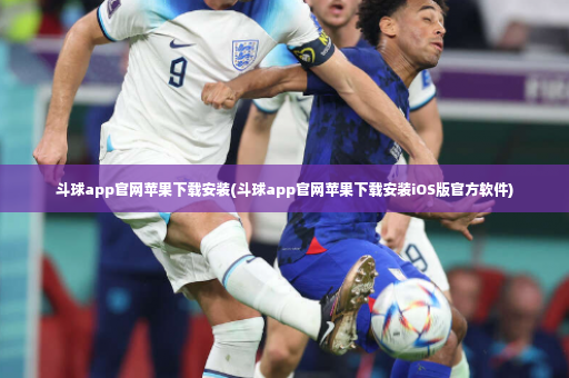 斗球app官网苹果下载安装(斗球app官网苹果下载安装iOS版官方软件)