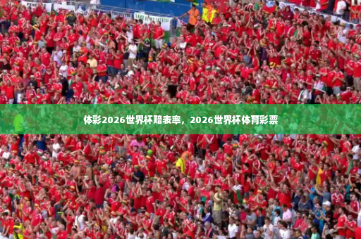 体彩2026世界杯赔表率，2026世界杯体育彩票-第4张图片-体育博彩