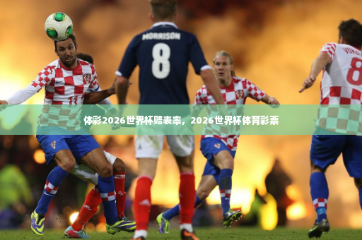 体彩2026世界杯赔表率，2026世界杯体育彩票