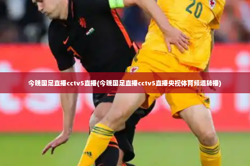 今晚国足直播cctv5直播(今晚国足直播cctv5直播央视体育频道转播)-第4张图片-体育博彩
