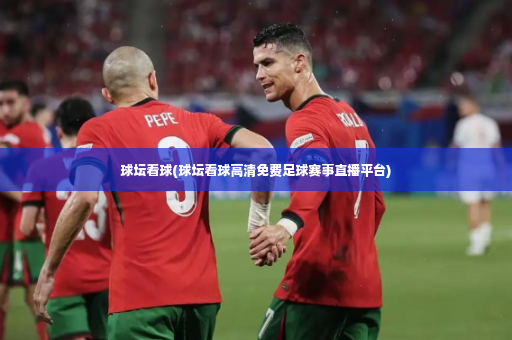 球坛看球(球坛看球高清免费足球赛事直播平台)-第4张图片-体育博彩