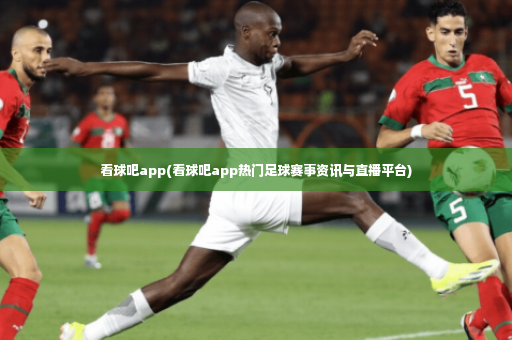 看球吧app(看球吧app热门足球赛事资讯与直播平台)-第3张图片-体育博彩