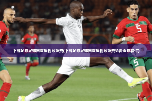 下载足球足球赛直播视频免费(下载足球足球赛直播视频免费免费看球软件)-第3张图片-体育博彩