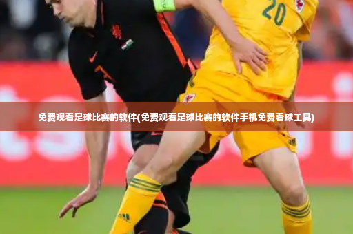 免费观看足球比赛的软件(免费观看足球比赛的软件手机免费看球工具)-第2张图片-体育博彩