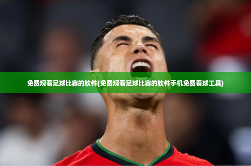 免费观看足球比赛的软件(免费观看足球比赛的软件手机免费看球工具)-第3张图片-体育博彩