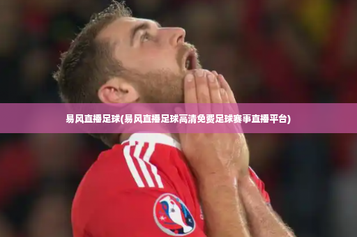 易风直播足球(易风直播足球高清免费足球赛事直播平台)-第2张图片-体育博彩