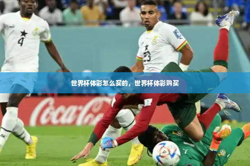 世界杯体彩怎么买的，世界杯体彩购买-第2张图片-体育博彩