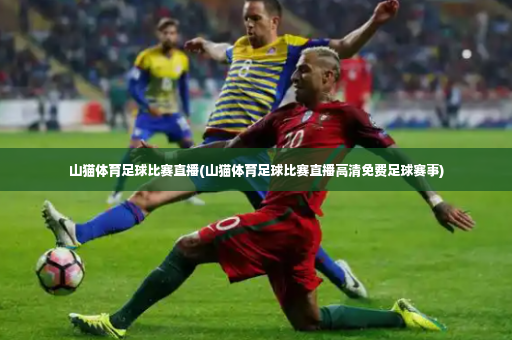山猫体育足球比赛直播(山猫体育足球比赛直播高清免费足球赛事)