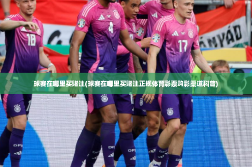 球赛在哪里买赌注(球赛在哪里买赌注正规体育彩票购彩渠道科普)-第2张图片-体育博彩