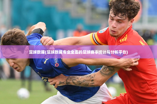 足球数据(足球数据专业全面的足球赛事统计与分析平台)-第2张图片-体育博彩 足球数据(足球数据专业全面的足球赛事统计与分析平台)-第2张图片-体育博彩