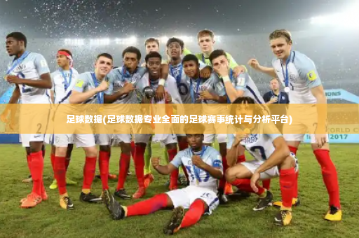 足球数据(足球数据专业全面的足球赛事统计与分析平台)