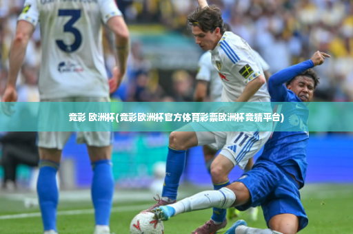 竞彩 欧洲杯(竞彩欧洲杯官方体育彩票欧洲杯竞猜平台)-第4张图片-体育博彩
