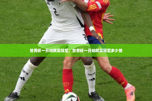 世界杯一开始就买冠军，世界杯一开始就买冠军多少倍-第4张图片-体育博彩