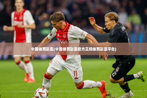 中国体育彩票(中国体育彩票官方正规体育彩票平台)-第4张图片-体育博彩