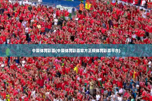 中国体育彩票(中国体育彩票官方正规体育彩票平台)