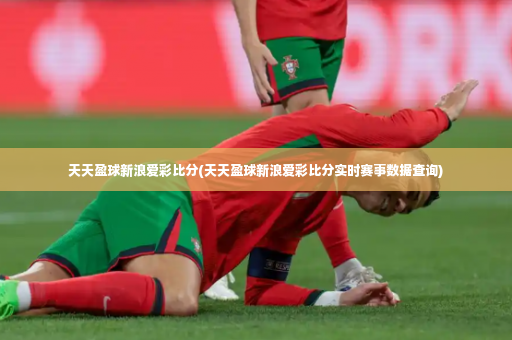 天天盈球新浪爱彩比分(天天盈球新浪爱彩比分实时赛事数据查询)-第3张图片-体育博彩 天天盈球新浪爱彩比分(天天盈球新浪爱彩比分实时赛事数据查询)-第3张图片-体育博彩
