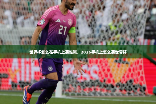 世界杯怎么在手机上买谁赢，2026手机上怎么买世界杯-第2张图片-体育博彩