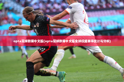 opta足球数据中文版(opta足球数据中文版全球权威赛事统计与分析)-第3张图片-体育博彩
