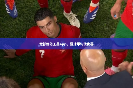 竞彩优化工具app，足球平均优化器-第2张图片-体育博彩