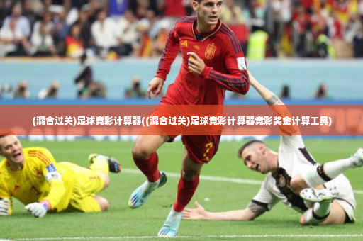 (混合过关)足球竞彩计算器((混合过关)足球竞彩计算器竞彩奖金计算工具)-第2张图片-体育博彩