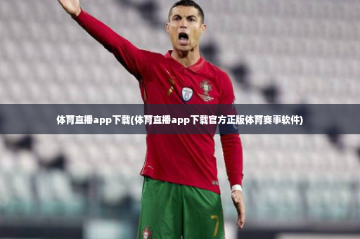 体育直播app下载(体育直播app下载官方正版体育赛事软件)-第3张图片-体育博彩