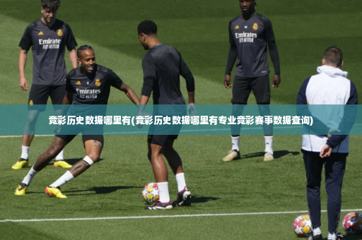 竞彩历史数据哪里有(竞彩历史数据哪里有专业竞彩赛事数据查询)-第2张图片-体育博彩