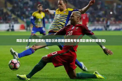 竞彩历史数据哪里有(竞彩历史数据哪里有专业竞彩赛事数据查询)-第3张图片-体育博彩