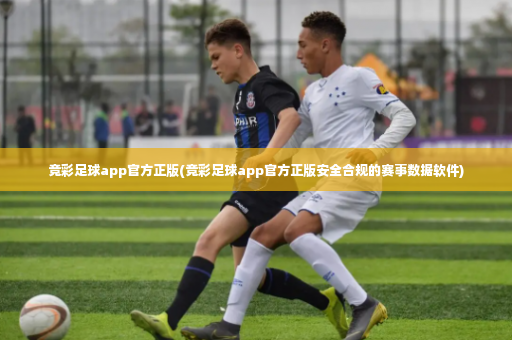 竞彩足球app官方正版(竞彩足球app官方正版安全合规的赛事数据软件)-第4张图片-体育博彩