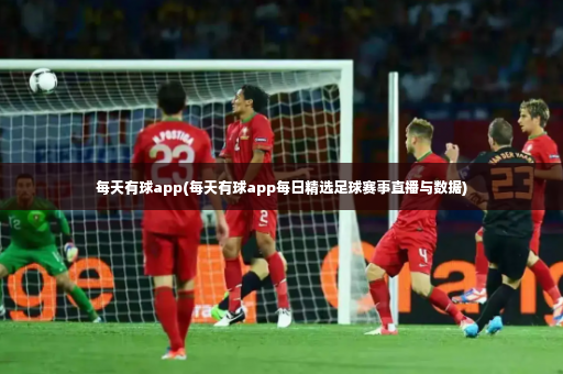 每天有球app(每天有球app每日精选足球赛事直播与数据)-第2张图片-体育博彩