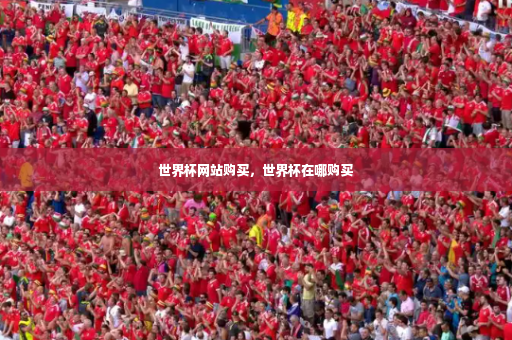 世界杯网站购买，世界杯在哪购买-第3张图片-体育博彩
