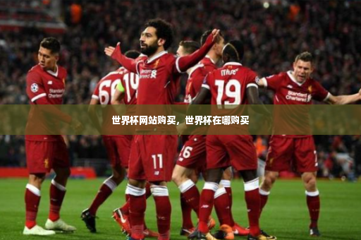 世界杯网站购买，世界杯在哪购买-第4张图片-体育博彩