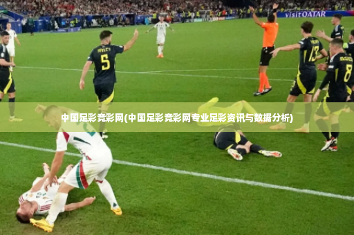中国足彩竞彩网(中国足彩竞彩网专业足彩资讯与数据分析)-第3张图片-体育博彩