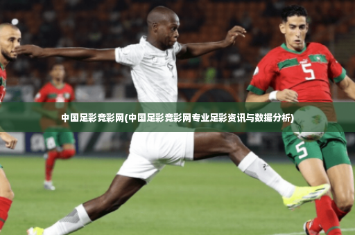 中国足彩竞彩网(中国足彩竞彩网专业足彩资讯与数据分析)-第4张图片-体育博彩 中国足彩竞彩网(中国足彩竞彩网专业足彩资讯与数据分析)-第4张图片-体育博彩