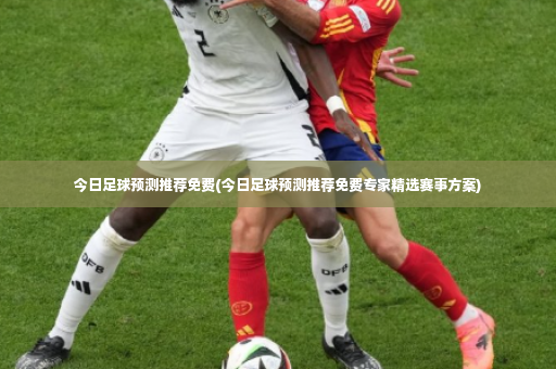 今日足球预测推荐免费(今日足球预测推荐免费专家精选赛事方案)-第2张图片-体育博彩