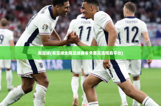 看足球(看足球全网足球赛事免费高清观看平台)-第3张图片-体育博彩