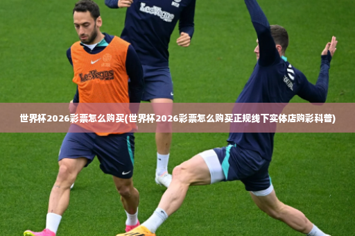 世界杯2026彩票怎么购买(世界杯2026彩票怎么购买正规线下实体店购彩科普)-第3张图片-体育博彩 世界杯2026彩票怎么购买(世界杯2026彩票怎么购买正规线下实体店购彩科普)-第3张图片-体育博彩