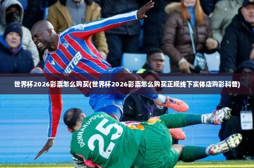 世界杯2026彩票怎么购买(世界杯2026彩票怎么购买正规线下实体店购彩科普)-第4张图片-体育博彩 世界杯2026彩票怎么购买(世界杯2026彩票怎么购买正规线下实体店购彩科普)-第4张图片-体育博彩