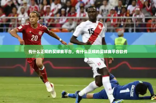 有什么正规的买球赛平台，有什么正规的买球赛平台软件-第2张图片-体育博彩