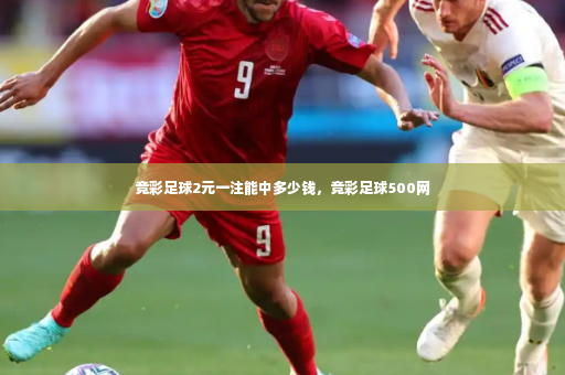 竞彩足球2元一注能中多少钱，竞彩足球500网-第3张图片-体育博彩