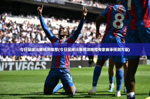 今日足球比赛预测推荐(今日足球比赛预测推荐专家赛事预测方案)-第2张图片-体育博彩