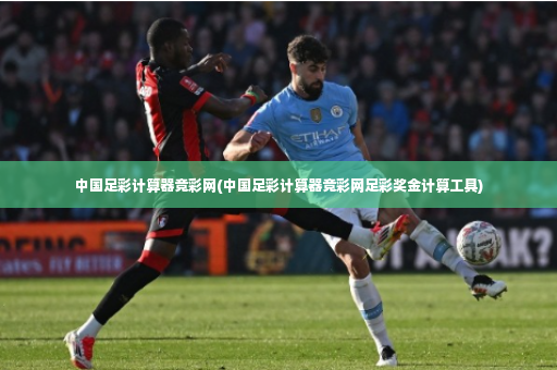 中国足彩计算器竞彩网(中国足彩计算器竞彩网足彩奖金计算工具)-第4张图片-体育博彩 中国足彩计算器竞彩网(中国足彩计算器竞彩网足彩奖金计算工具)-第4张图片-体育博彩